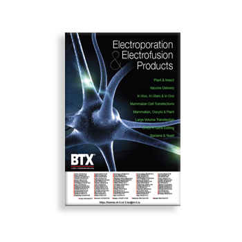 Catalog (eng) in the store BTX